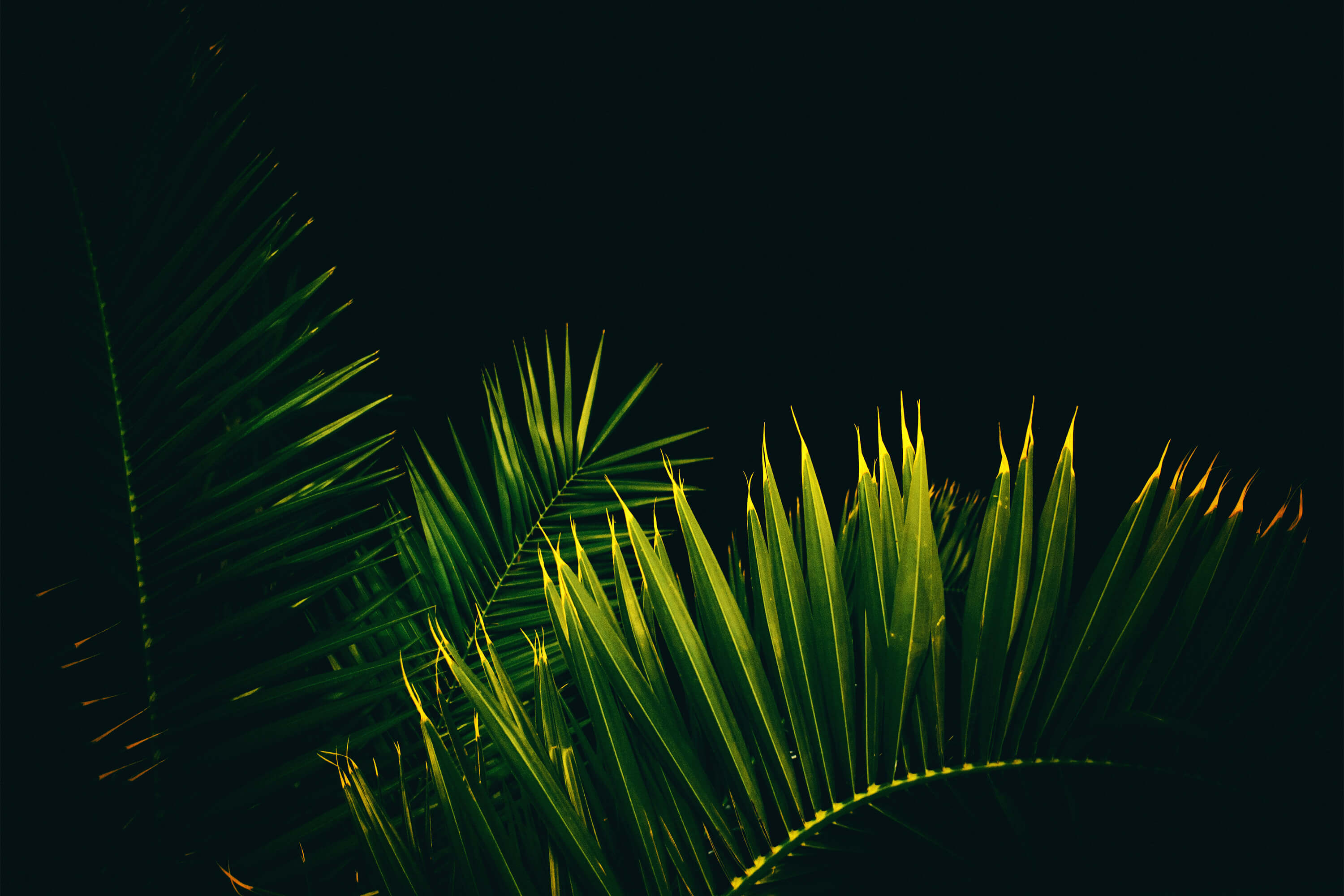 Homepage